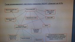 Схема органов управления и структурных подразделений